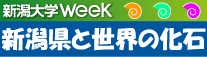 新潟県と世界の化石