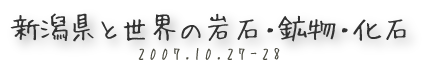 新潟県と世界の岩石・鉱物・化石