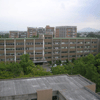 理学部