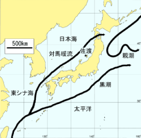 日本近海の海流系